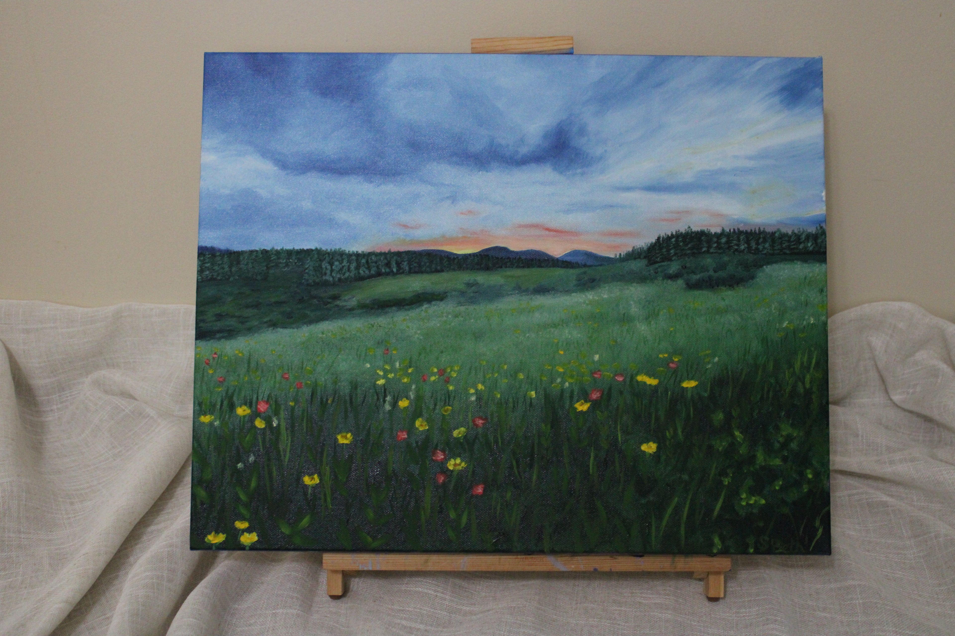 After the Storm- Original oil painting 16x20