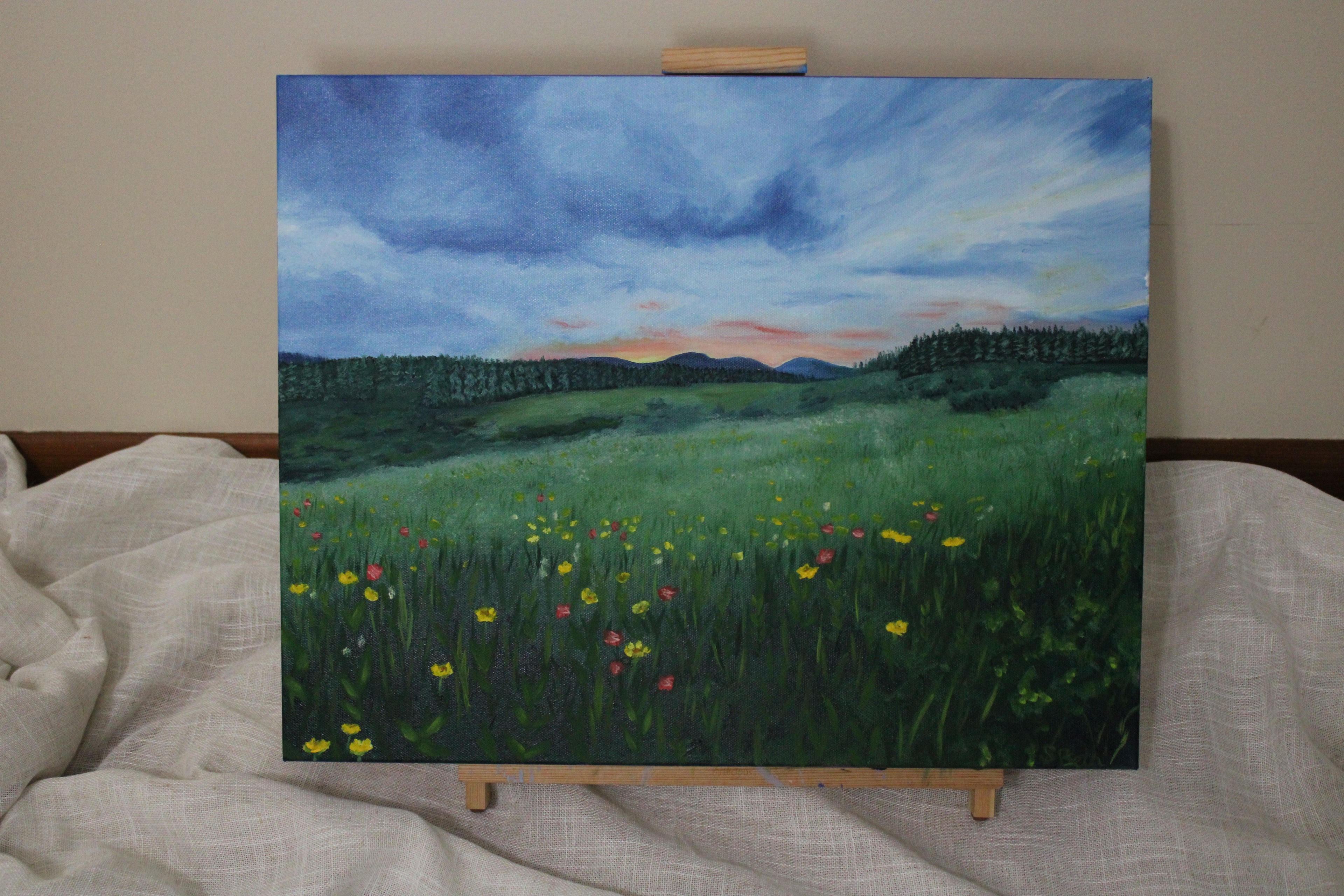 After the Storm- Original oil painting 16x20